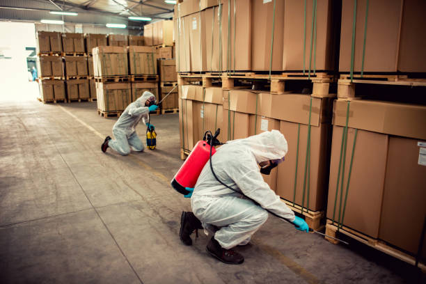 Best Pest Prevention Services  in Pontoon Beach, IL