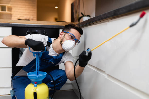 Best Termite Control Services  in Pontoon Beach, IL