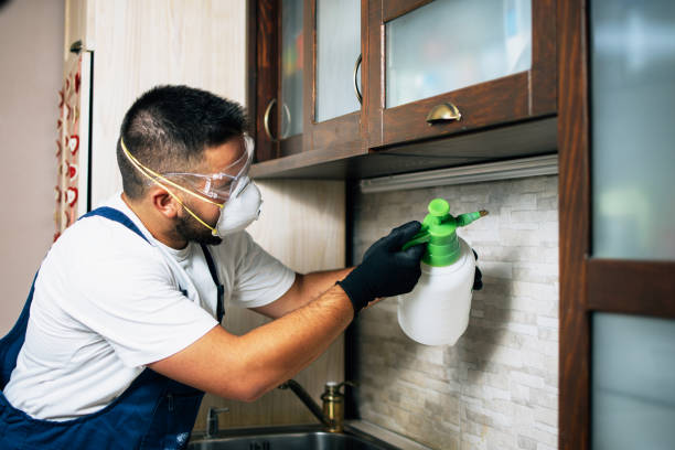 Best Wildlife Control Services  in Pontoon Beach, IL