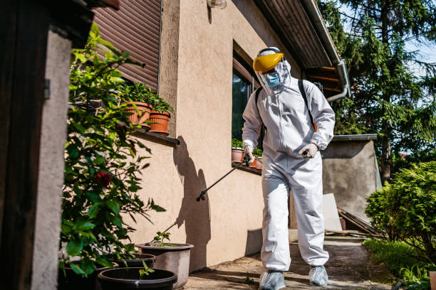 Best Exterminator Services  in Pontoon Beach, IL