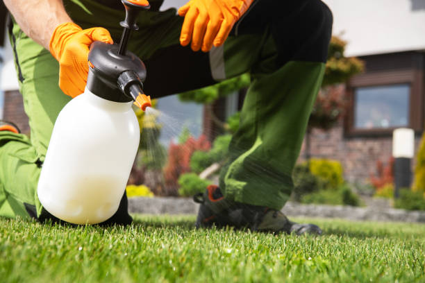 Best Pest Inspection Near Me  in Pontoon Beach, IL