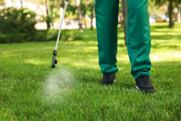 Best Exterminator Services  in Pontoon Beach, IL