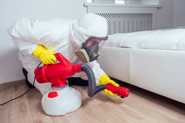 Best Cockroach Control Services  in Pontoon Beach, IL