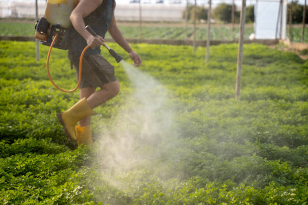 Best Residential Pest Control  in Pontoon Beach, IL