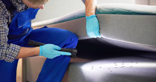 Best Commercial Pest Control Services  in Pontoon Beach, IL