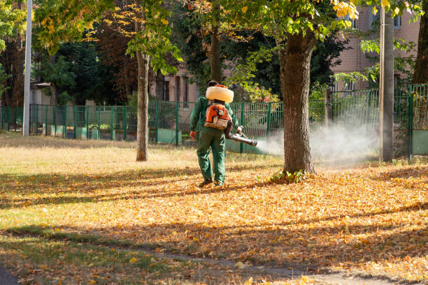 Best Residential Pest Control  in Pontoon Beach, IL