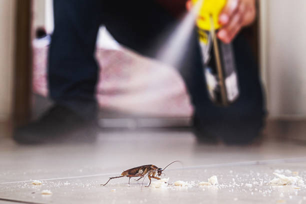  Pontoon Beach, IL Pest Control Pros