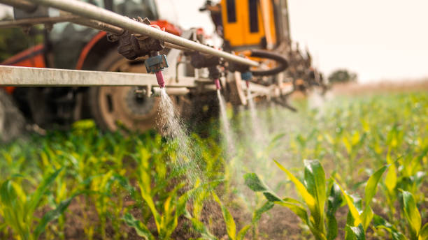 Best Pest Removal Services  in Pontoon Beach, IL