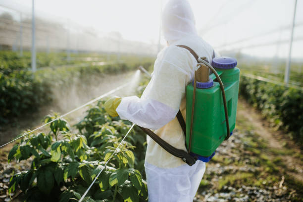 Best Pest Control Near Me  in Pontoon Beach, IL